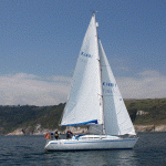 Petal on Route to Torquay Petal on Route to Torquay