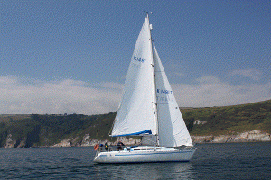 Petal on Route to Torquay