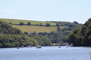 The Dart a Beautiful river